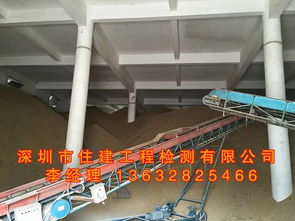 档案室变更引关注 大量资料入库需楼面承重检测