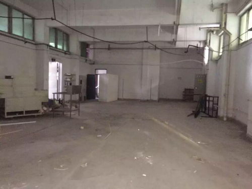 外资厂房验厂检测鉴定报告高效出具指南