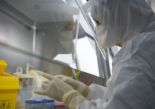 金域医学举全集团之力，支援北京核酸检测日产能突破3万例