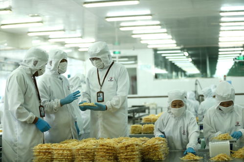 检测服务为翼，助力山东即墨企业振翅高飞